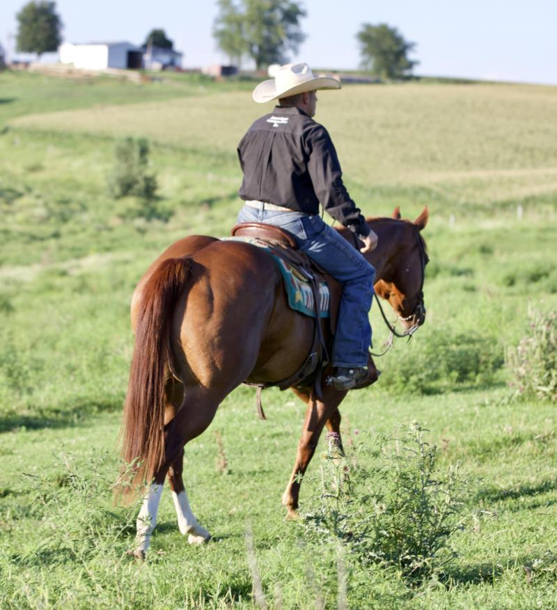 Mos Rear Horse Milo (Touch Me Gentley)